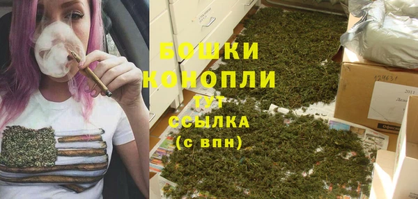 стаф Богородицк