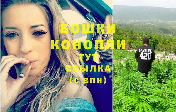 стаф Богородицк