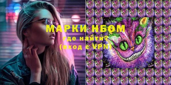 стаф Богородицк