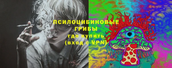 стаф Богородицк