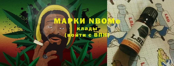 стаф Богородицк