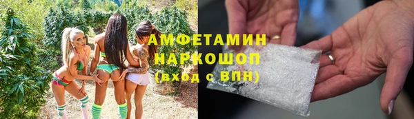 гашик Белокуриха