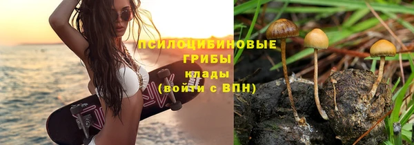 хмурый Богородск